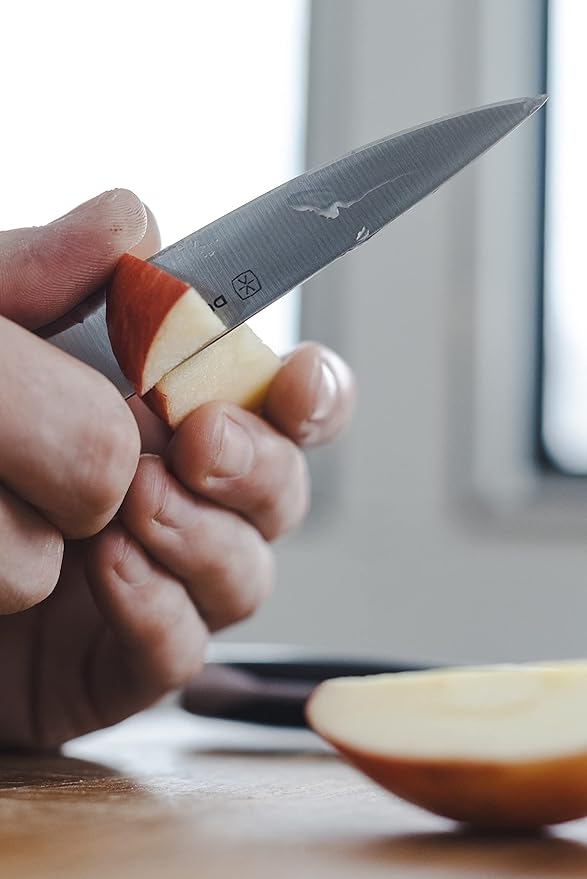 DURA LIVING 3.5 Inch Paring Knife – Essential High Carbon Stainless Steel, Razor-Sharp, Multipurpose Small Kitchen Knife, Ergonomic Handle, Perfect for Precision Tasks, Sleek Gray Design