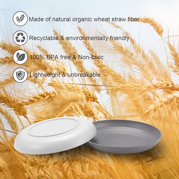 12 Pcs Unbreakable Deep Dinner Plates Set, 10 inch Reusable Plastic Wheat Straw Plates, Microwave and Dishwasher Safe Plate for Kitchen, Lightweight Plate for Dessert, BPA Free, Dark Gray